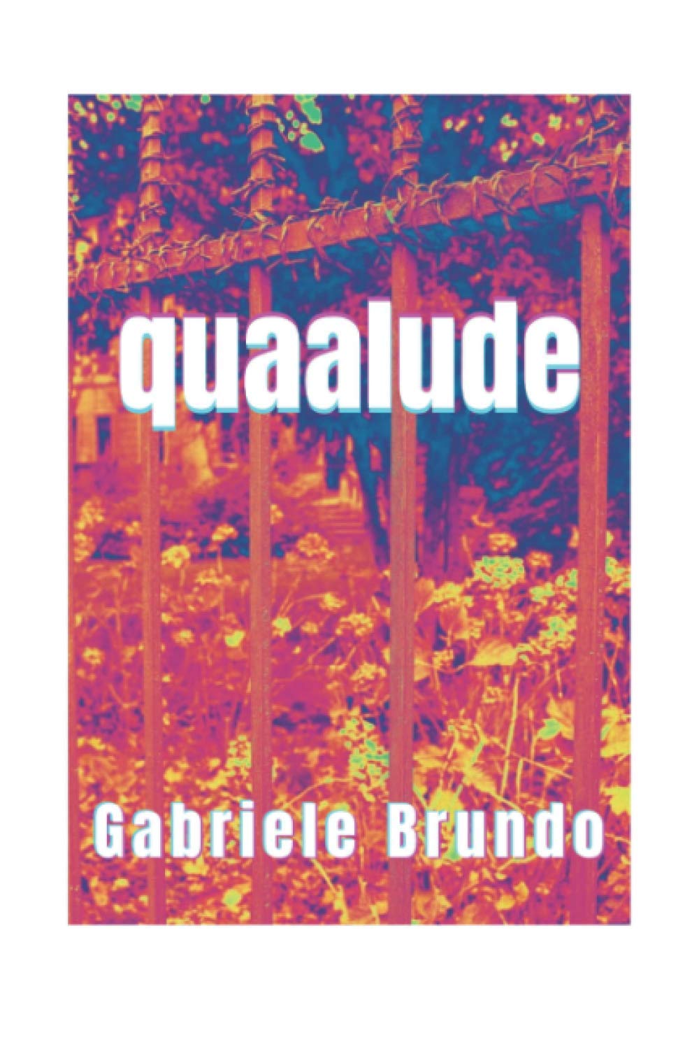 Copertina Quaalude 2021